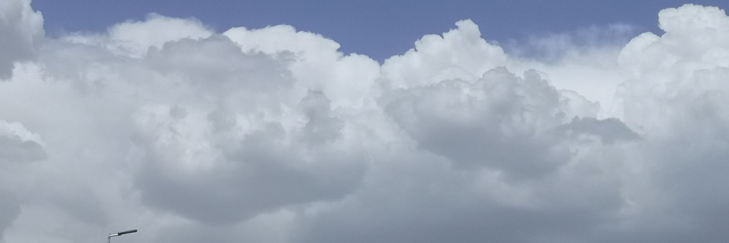 tale55_'s profile banner image