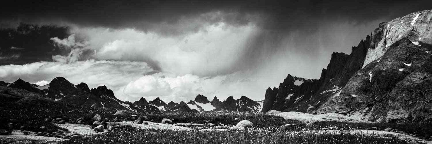 Phollandaise's profile banner image