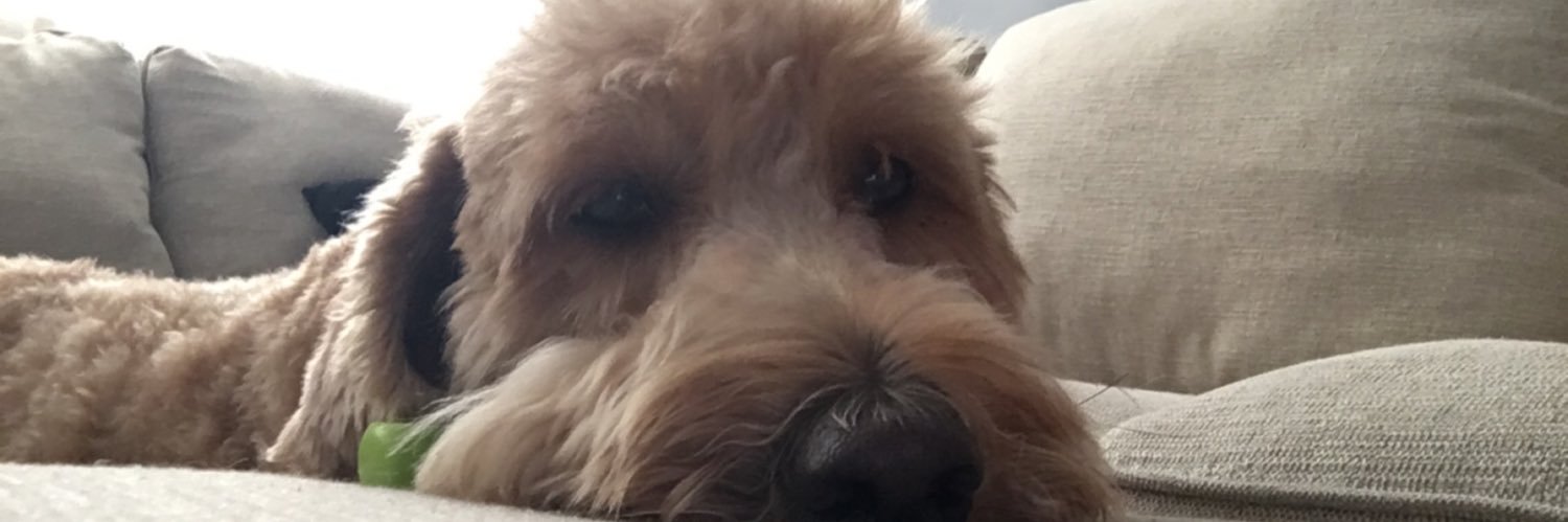 scottstratton4's profile banner image