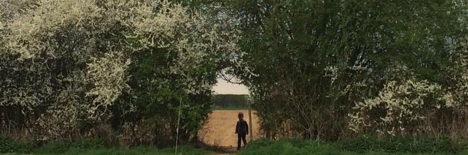 Kate Cracknell 💙 banner