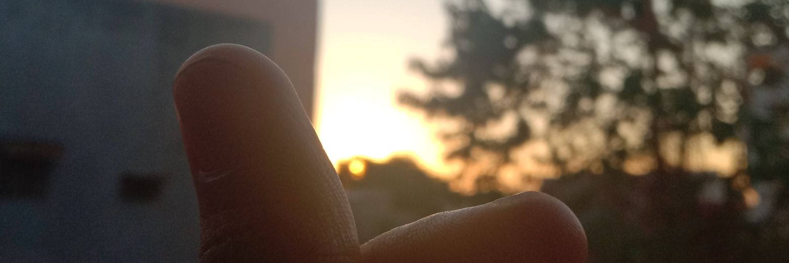 melansanda's profile banner image