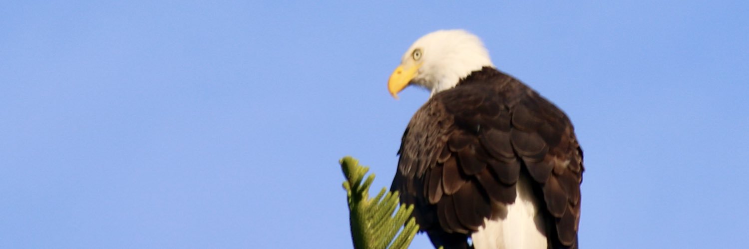 DavidSchauer1's profile banner image