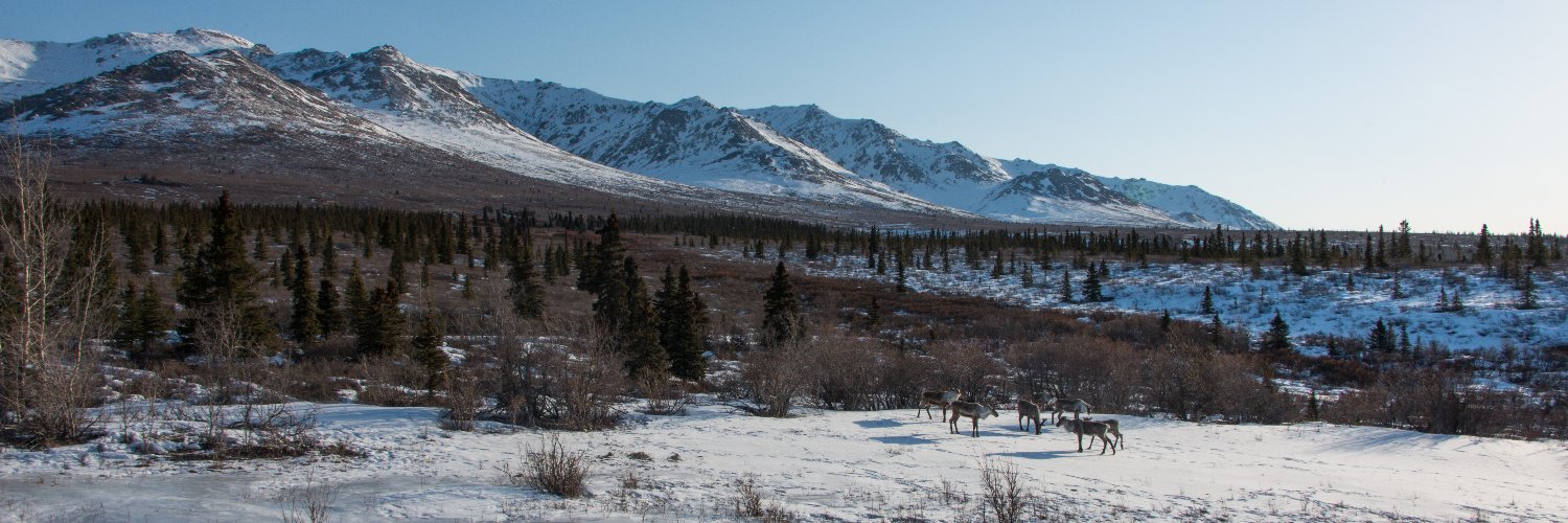 DenaliNPS's profile banner image
