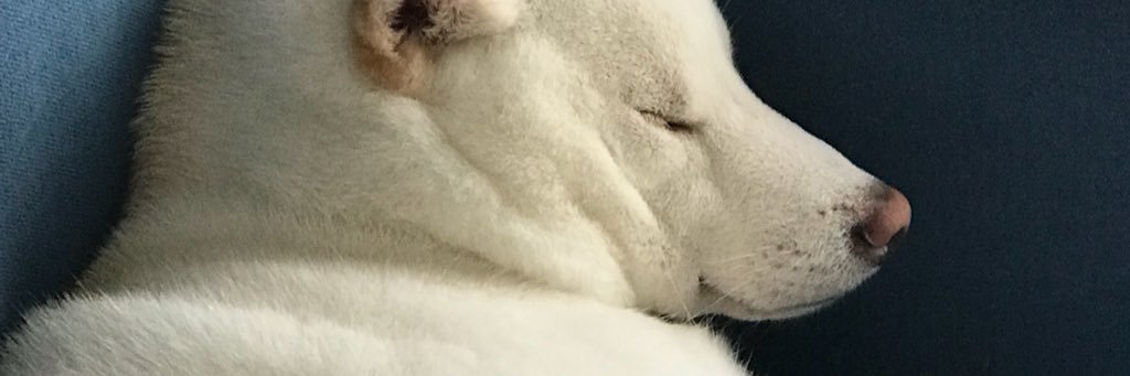 武藤直哉@銀印本舗 banner