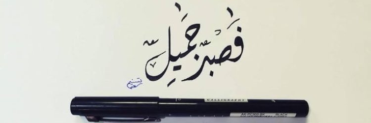 D3Dalia's profile banner image