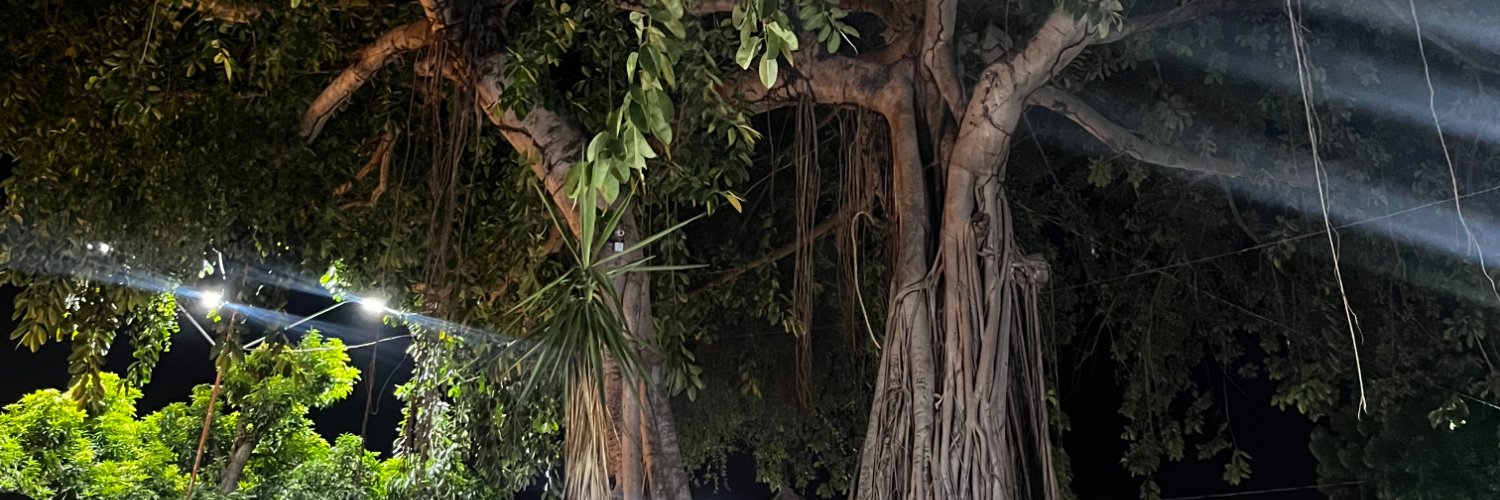 ilarylarie's profile banner image