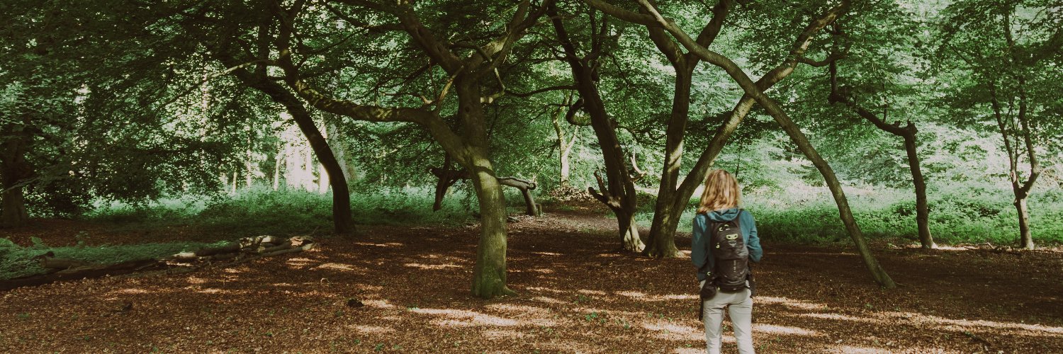 walkingholly's profile banner image