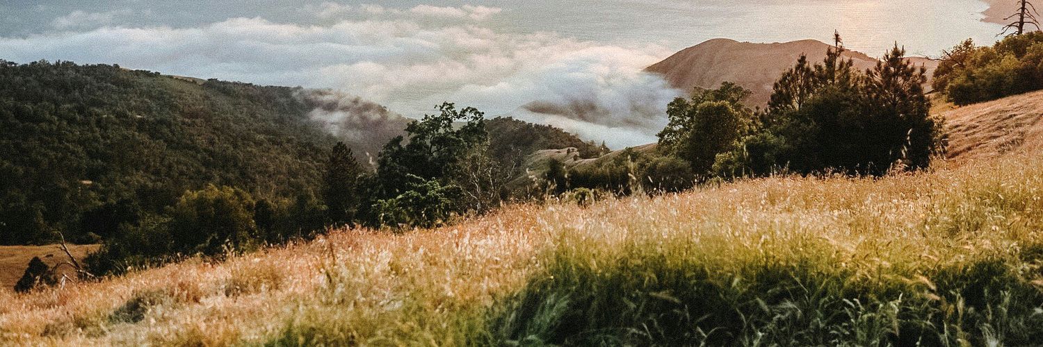 strawberryofG's profile banner image