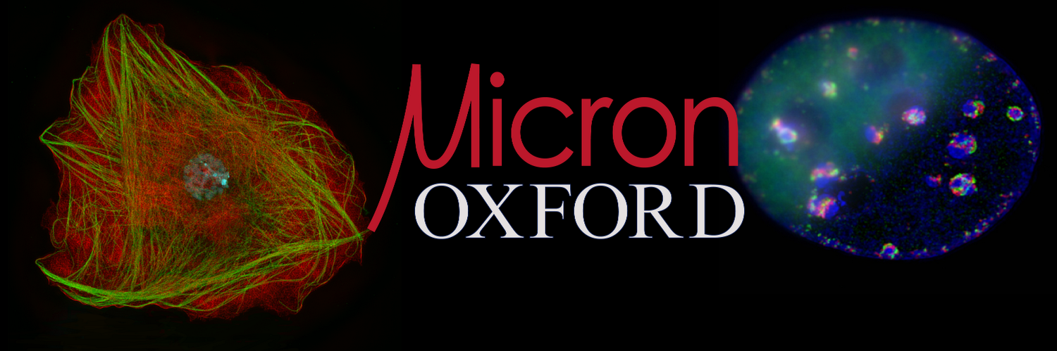 Micron Oxford Profile Banner