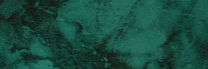 dansalinas99's profile banner image