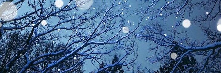 okake3's profile banner image