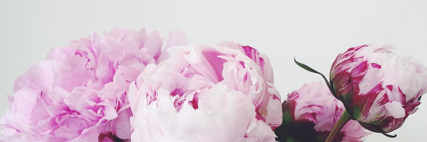 AilishMonks's profile banner image