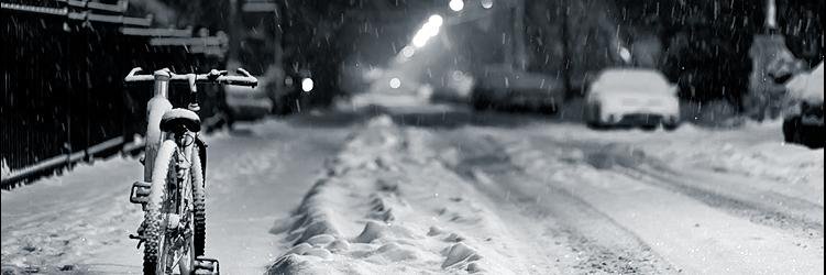 winter5397's profile banner image
