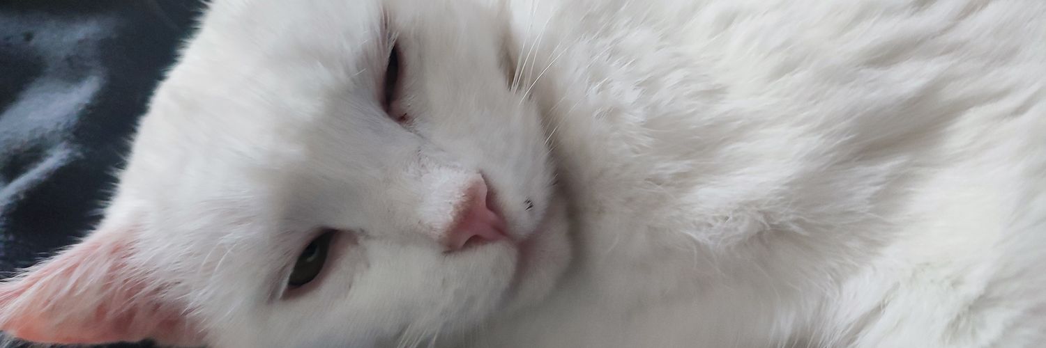 WeedCuler's profile banner image