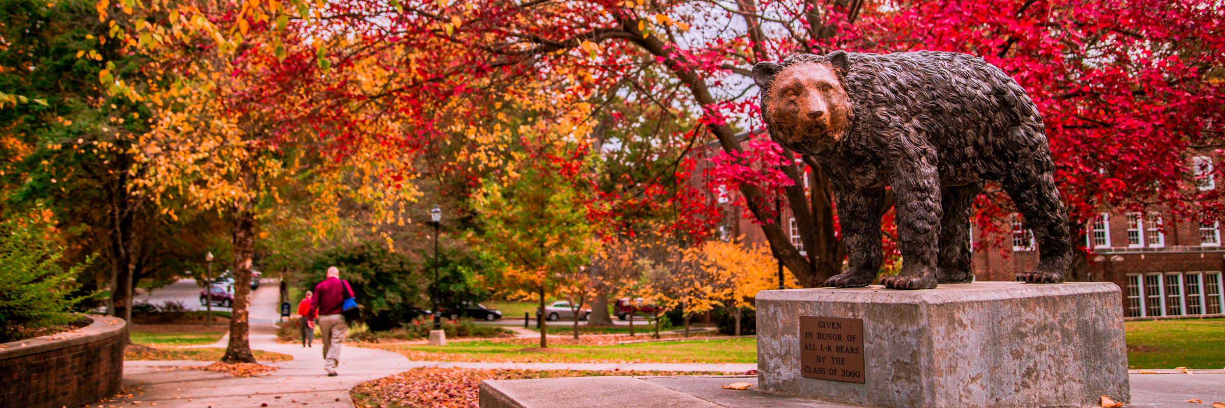 LRUOrientation's profile banner image