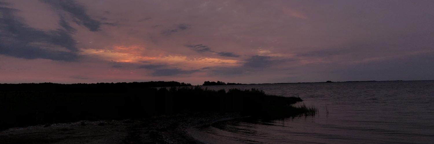 caliimd's profile banner image