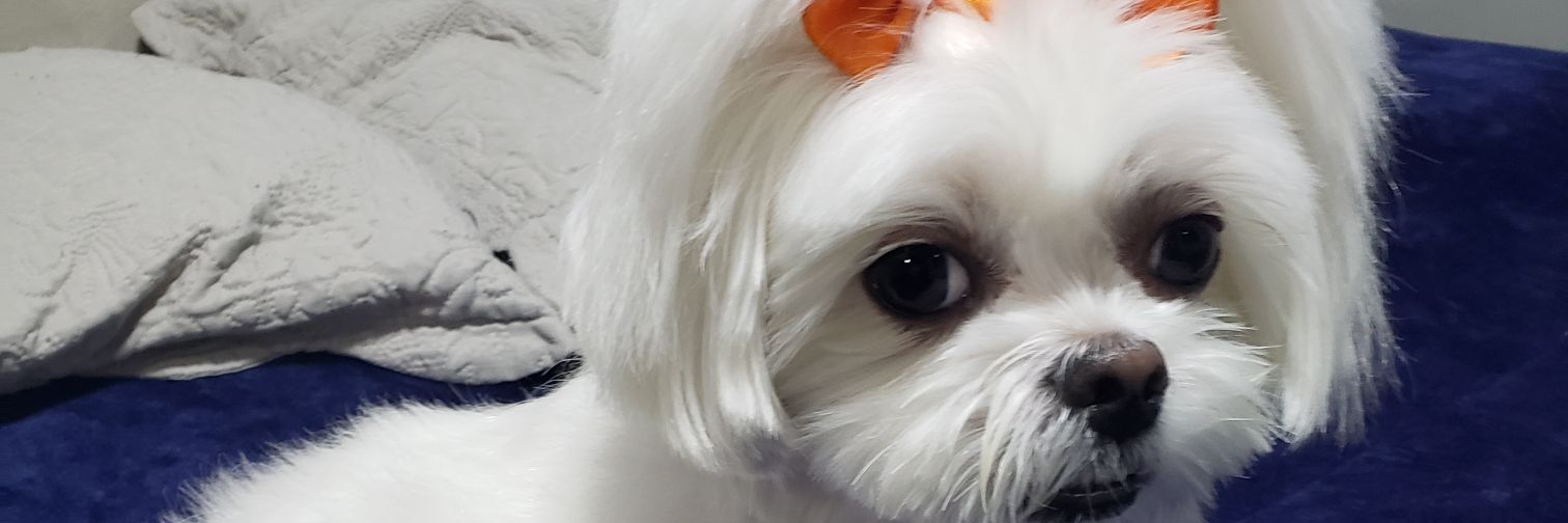 helenrenas's profile banner image