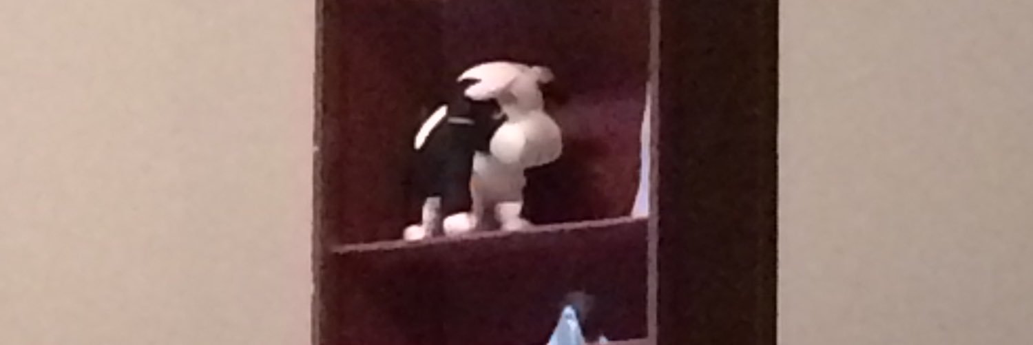 OfficialCowSon's profile banner image