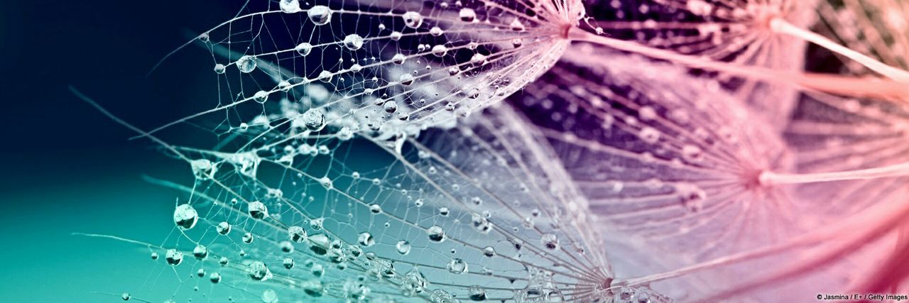 🌺Grilinha🌺 banner