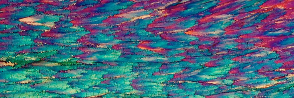 pimpsmurf420's profile banner image