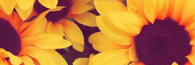 belen61095's profile banner image