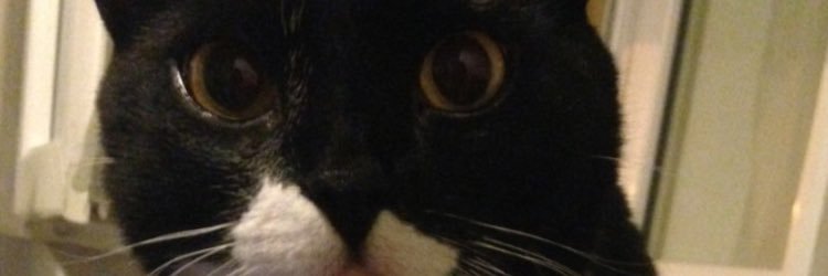 ramboSBAT's profile banner image