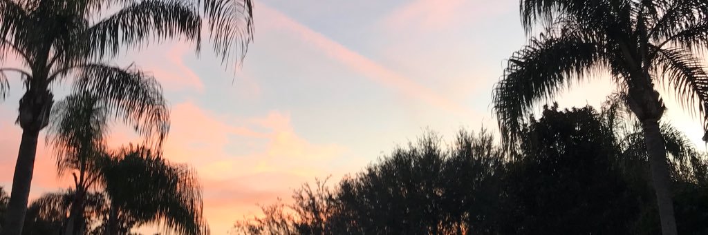 marissathibs's profile banner image