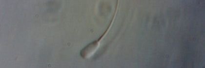 Mac_nal's profile banner image