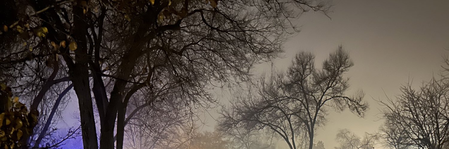 Rev. Brie 🇵🇸 banner