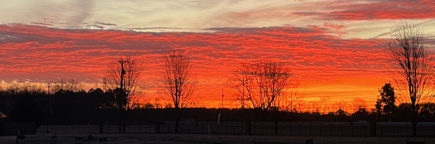 Frankie Fresh banner