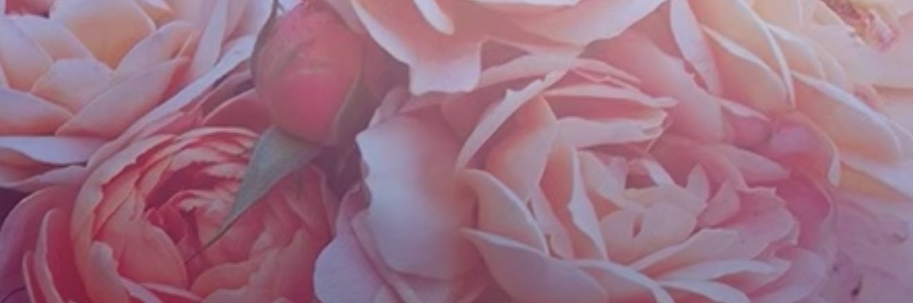 へちまん banner