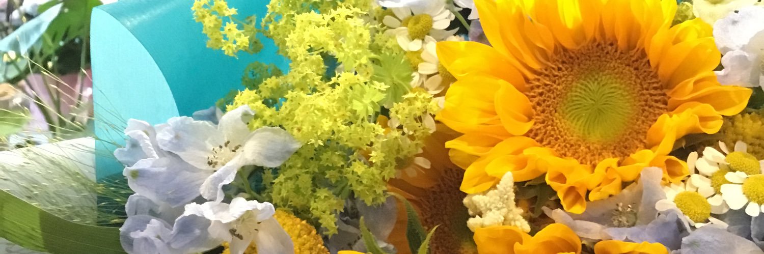 sorahanatomoko's profile banner image