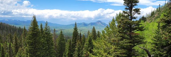 DavidBennett50 Profile Banner