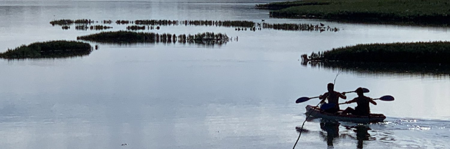 Sylvie Robert banner