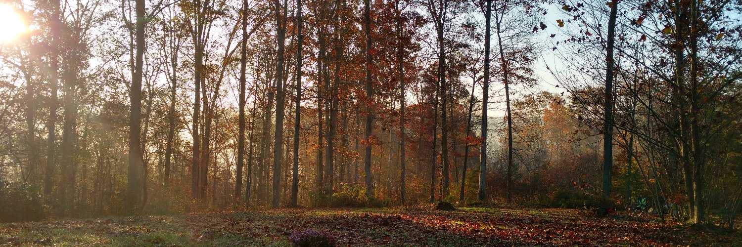 jeremyplarson's profile banner image