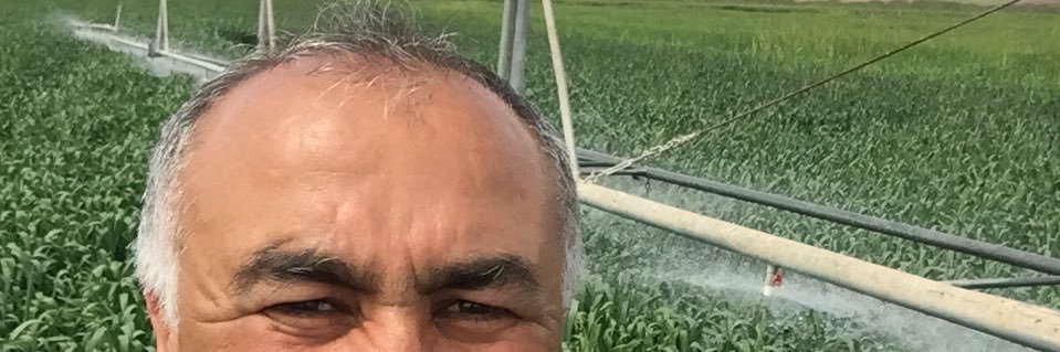 NALYAVUZ's profile banner image