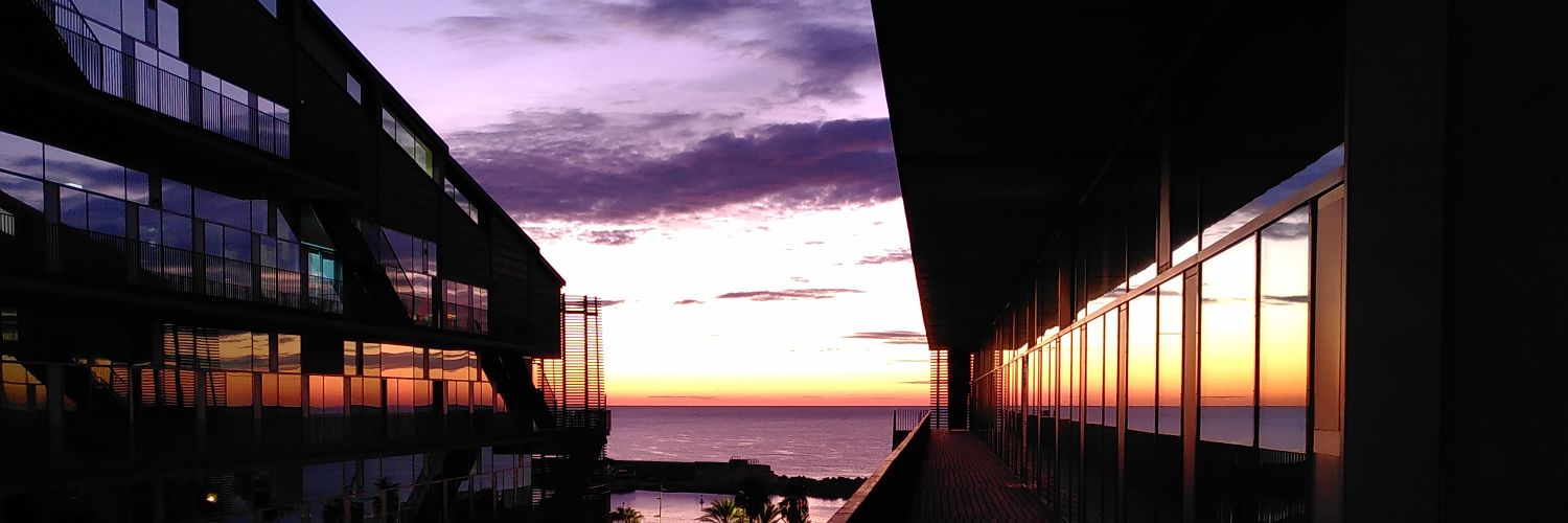 silviasansen's profile banner image