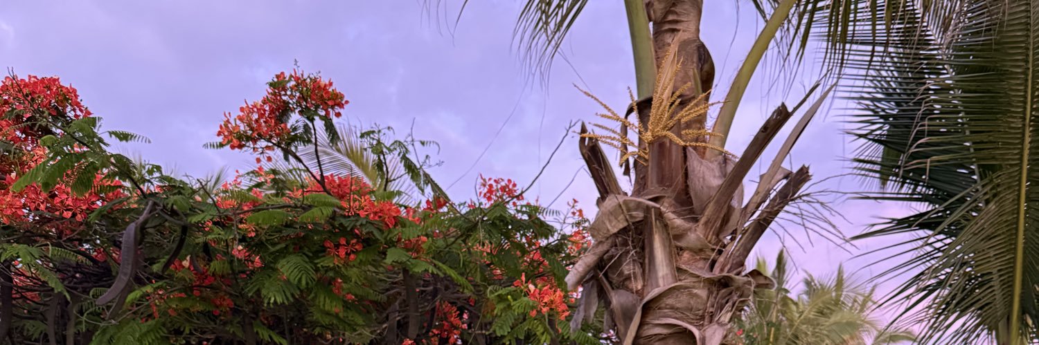 adeallisonn's profile banner image