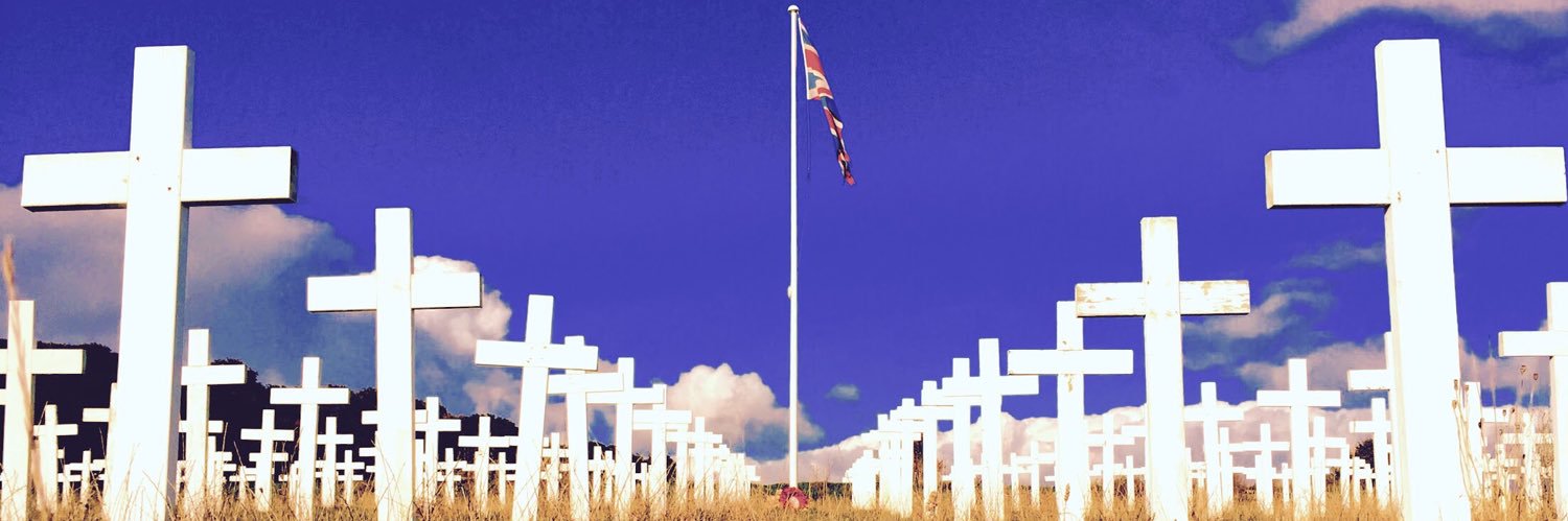 halstead01's profile banner image