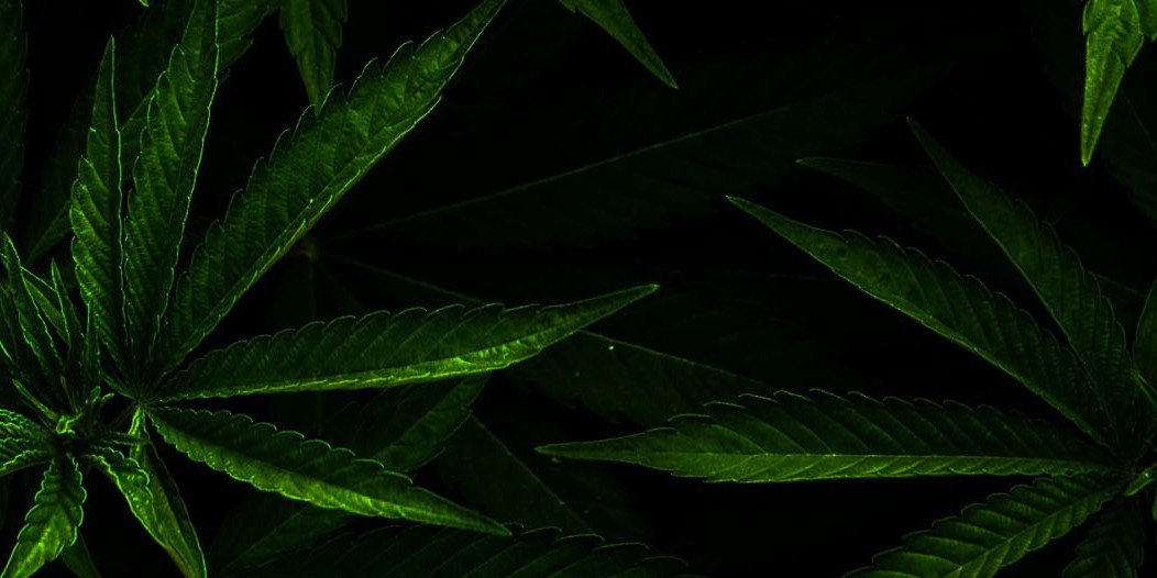 Mr_Armstrong94's profile banner image