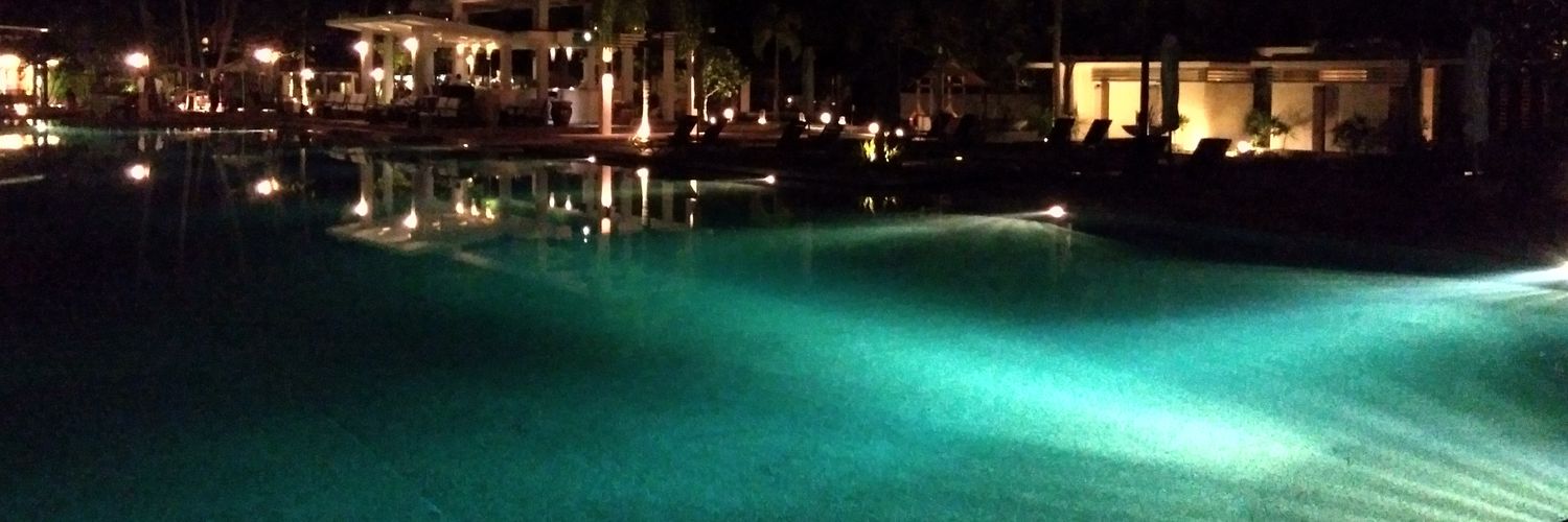 夏日的逆戟鲸 banner