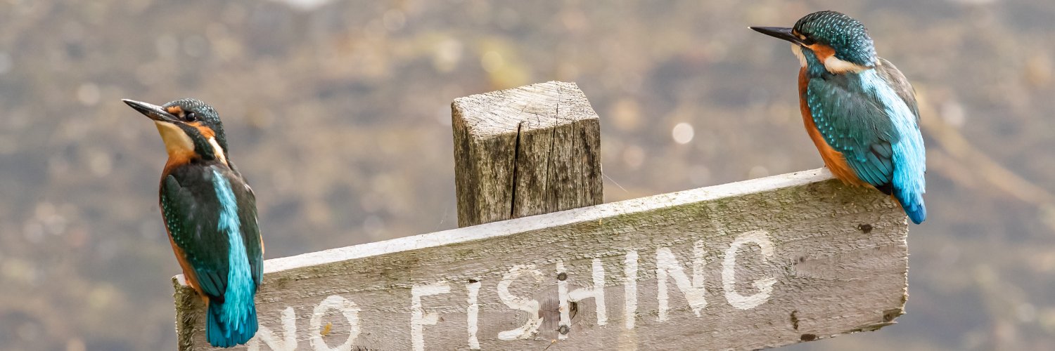 Paul Elliott 💙 banner