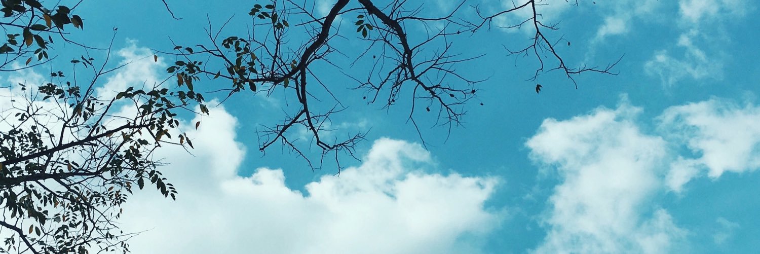markjosefu's profile banner image