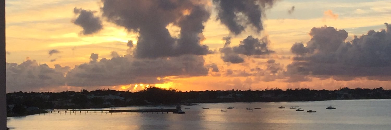 SavuDavid's profile banner image
