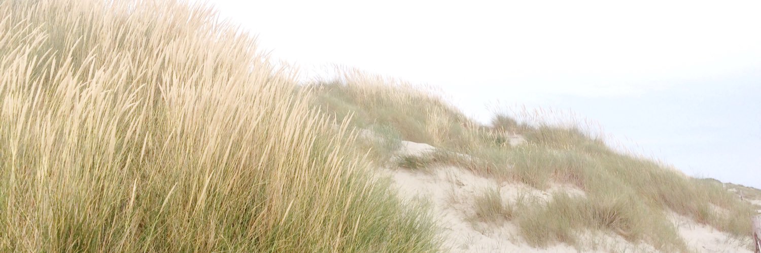 FloGallien's profile banner image