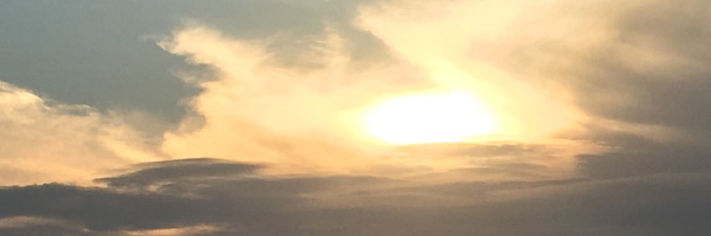 nirobles's profile banner image