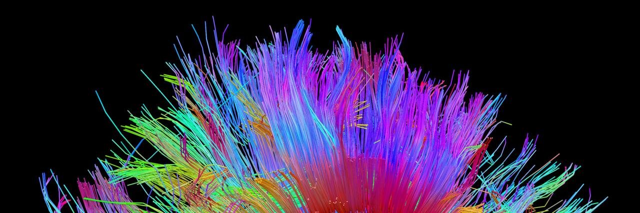 theconnectome's profile banner image