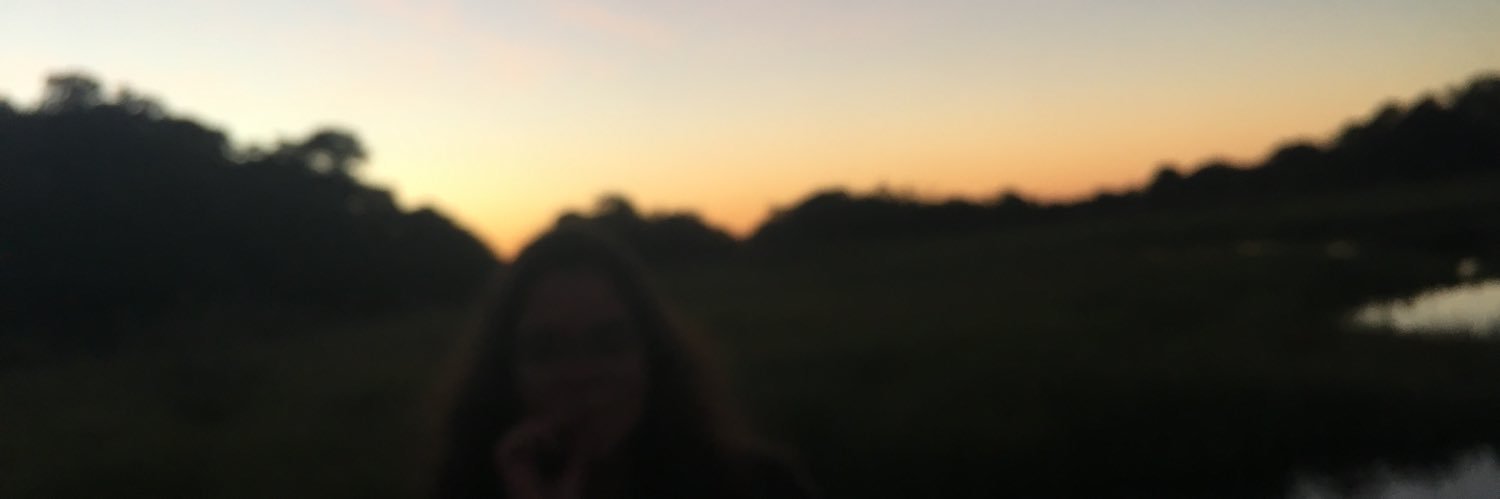 sntsth's profile banner image
