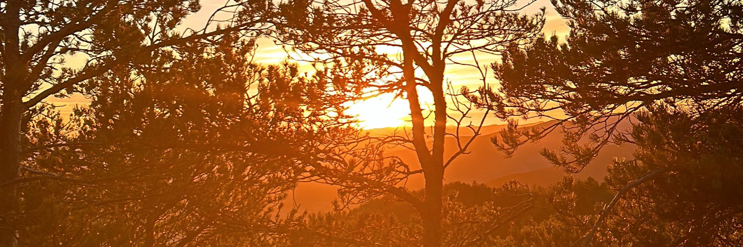jostinn_'s profile banner image
