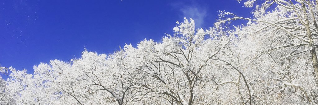 davidjordan84's profile banner image